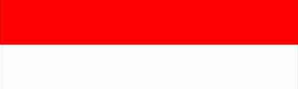 Indonésie : Le Bilan