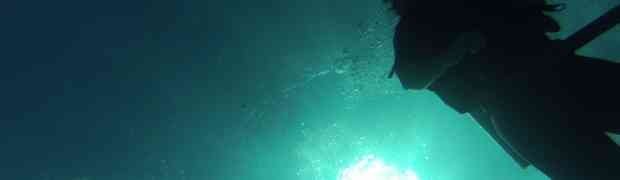 Monde sous marin au Bélize